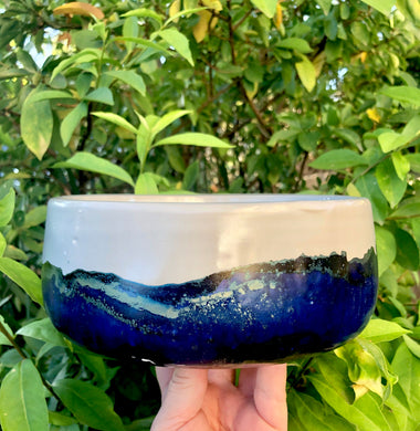 Hand Painted Pot Plant