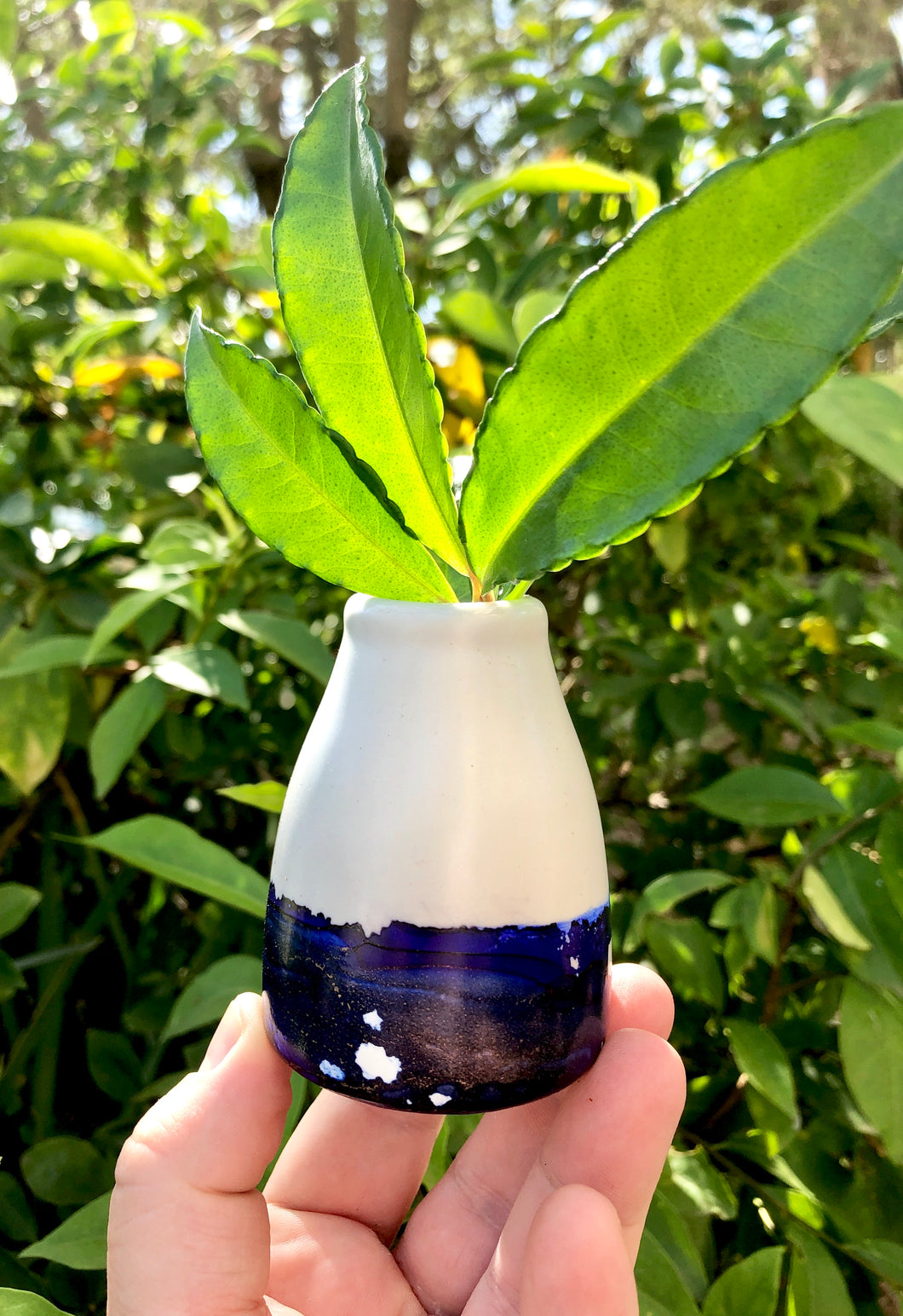 Vase - Tiny